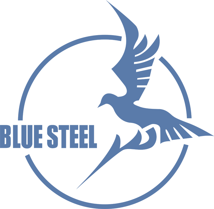 Blue Steel Logo Vector
